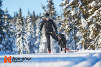 Non-Stop Dogwear Løype Belt